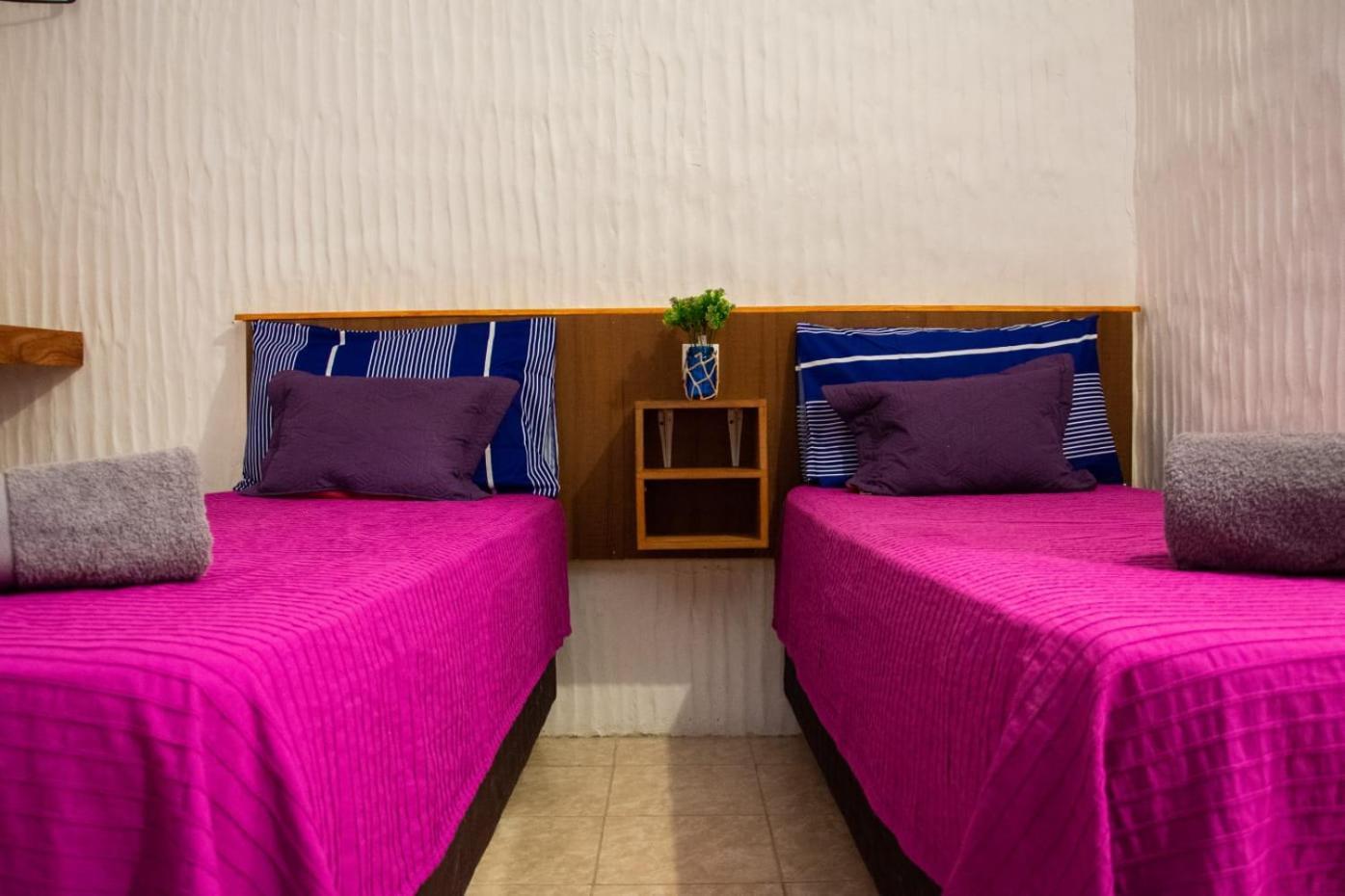 Ecohoteltdf Río Grande エクステリア 写真
